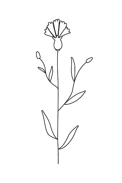 Outline of a cornflower flower