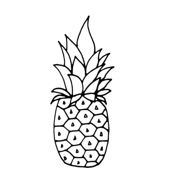 Outline doodle clipart pine apple