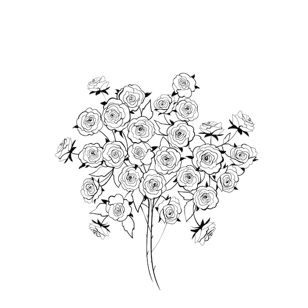 outline drawing of flowers