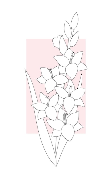 Outline drawing of a gladiolus on a pale pink background