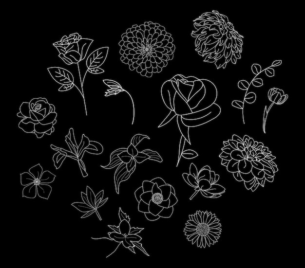 Outline drawing Vectors Flower icon background Floral Rose logo pattern Photos bouquet clipart