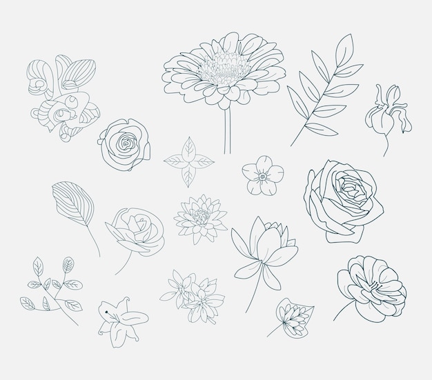 Контурный рисунок векторы цветочный фон значка цветочный рисунок логотипа розы фотографии букет клипарт