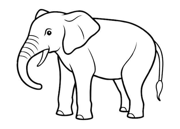 a outline elephant vector illustration design