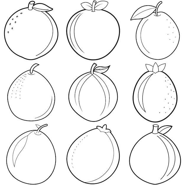 outline of fruit