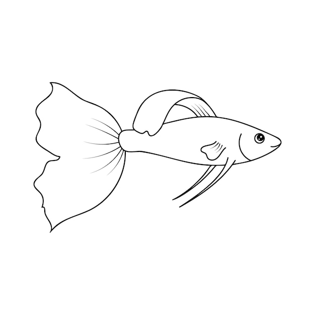 Outline Guppy isolated on a white background