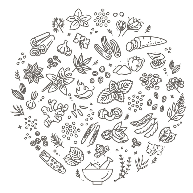 Outline icon set spices condiments and herbs