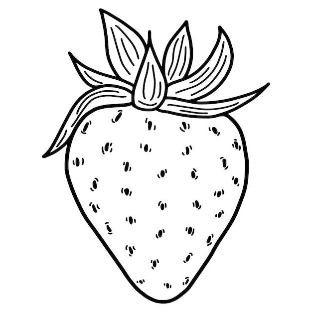 Vector outline illustration of a strawberry