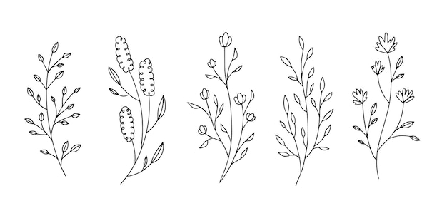 Outline isolated black and white flowers Line Cute illustration for postcards web design