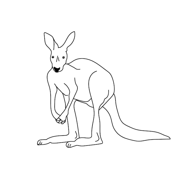 Outline kangaroo coloring page with cute animal Australia animals rescue