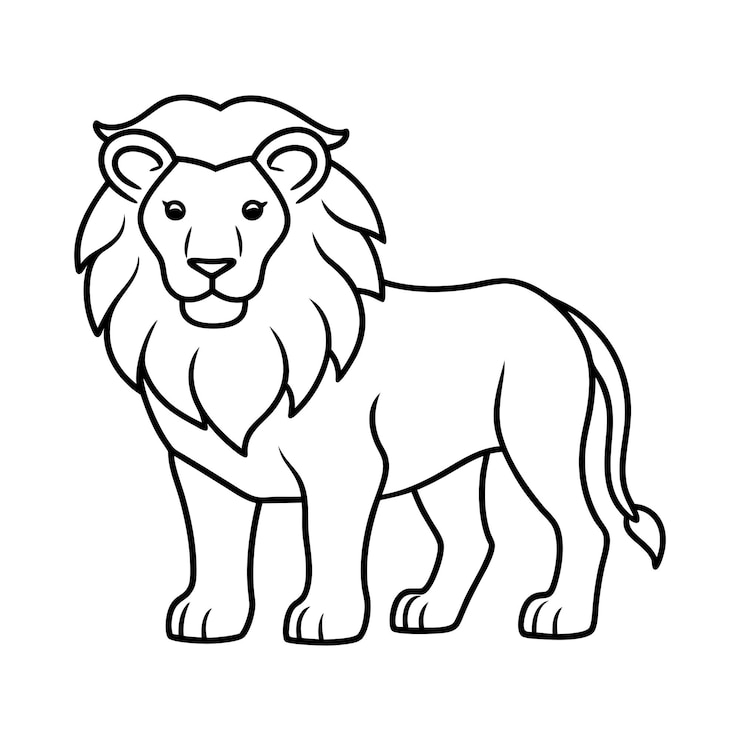 Vector a outline of lion vector illustration design