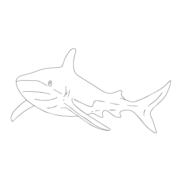 ベクトル サメの概要。海洋動物の手描きイラスト