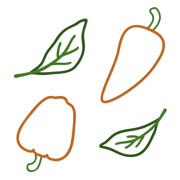 Vector outline pepper vector illustration