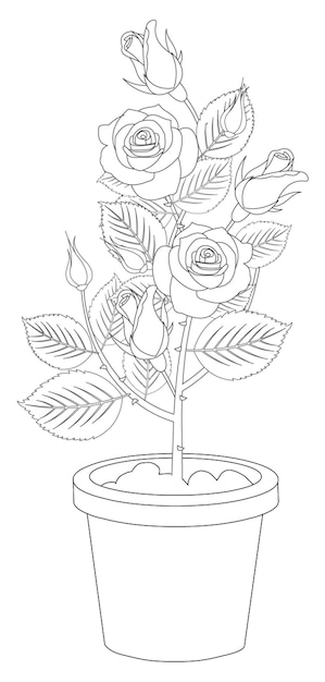 Drawing rose flower tree artwork Royalty Free Vector Image