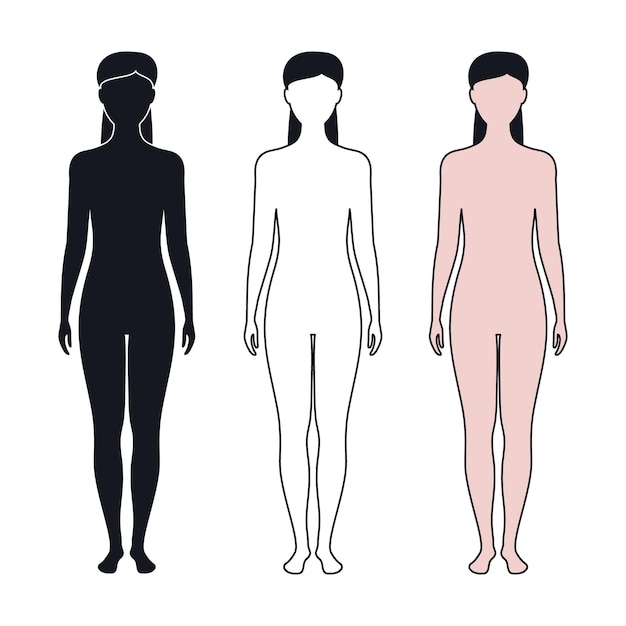 Vector outline silhouette of womanaposs body vector illustration