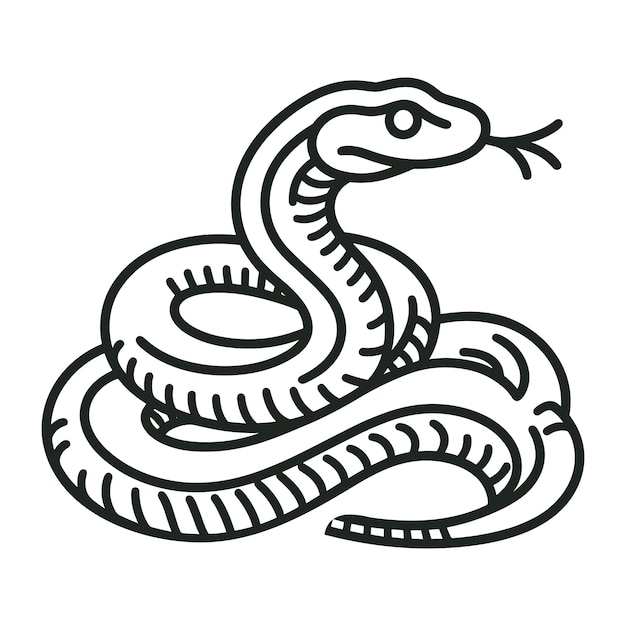 Vector outline snake vector illustration