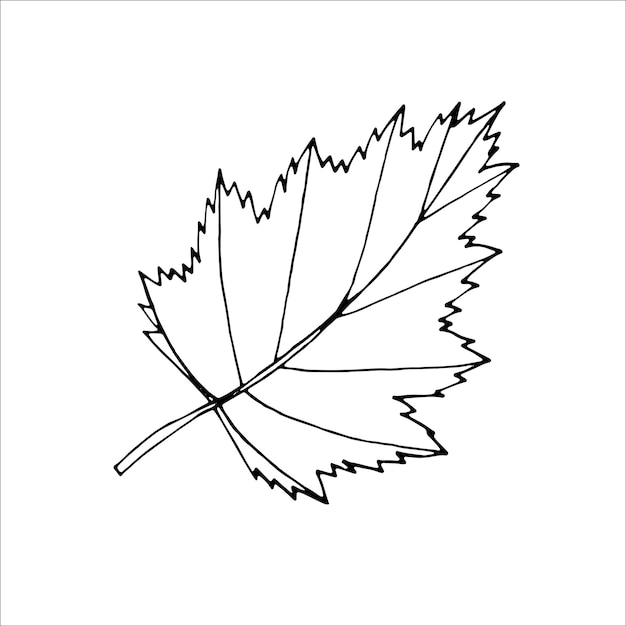 Delinea la foglia dell'albero