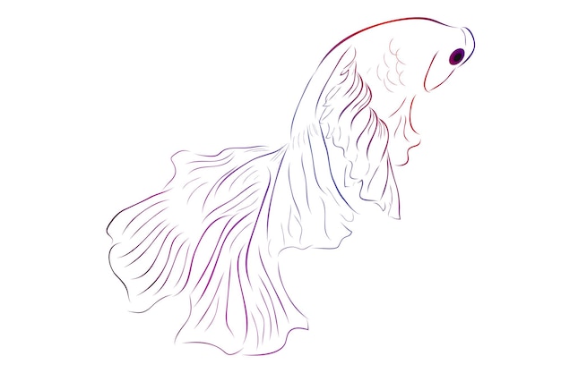 Outline Vector Betta or siamese fighting fish Giant Half Moon on White background