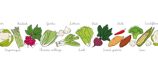 Outline vegetables seamless banner.Collection different types of vegetables in line art drawing styl