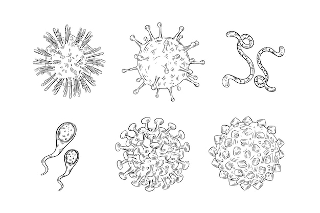 Vector outline virus collection