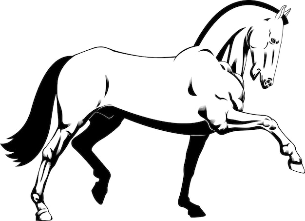 Delineato bella sagoma di cavallo del fumetto in esecuzione. illustrazione disegnata a mano di vettore