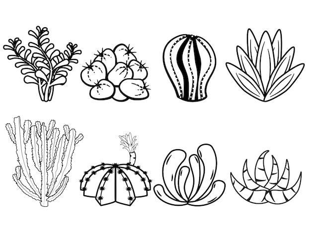 落書きスタイルでサボテンと多肉植物の輪郭を描きます。手描きのサボテンの白黒の線画セット。
