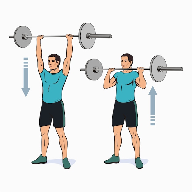 Vector overhead military bar press scheme