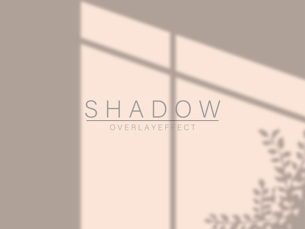 Overlay shadow effect. Transparent overlay window and blinds shadow. Realistic light effect of shado