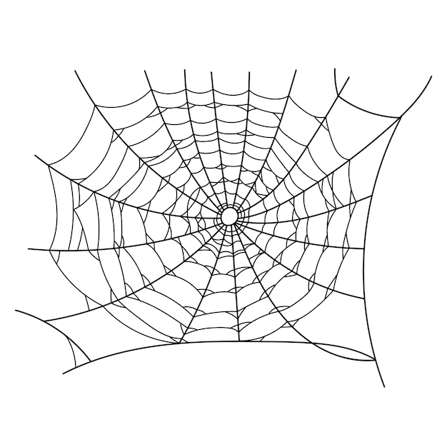 Overzichtsillustratie van een eenvoudig spinnenweb, geïsoleerd object op de witte achtergrond. Hallowen