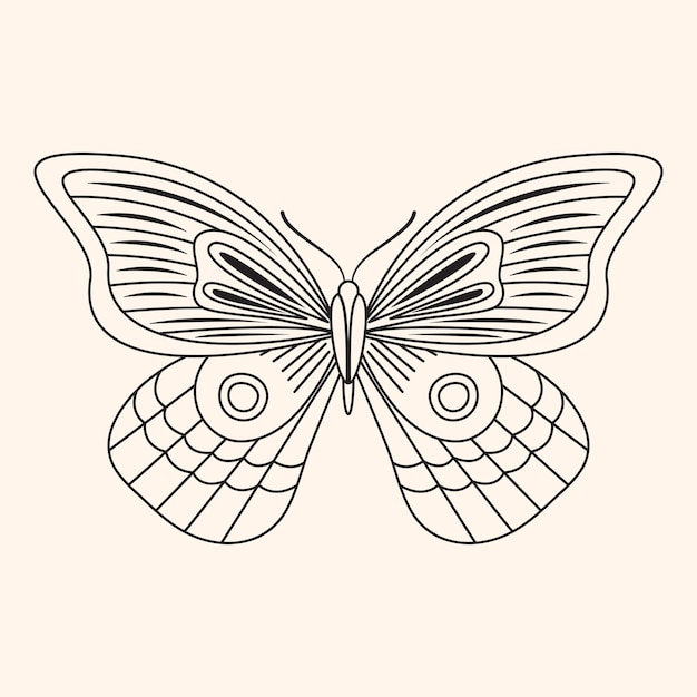 Overzichtstekening van vlinder Line art vector insect met vleugels Boheemse silhouette