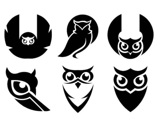 Vector owl bird animal set