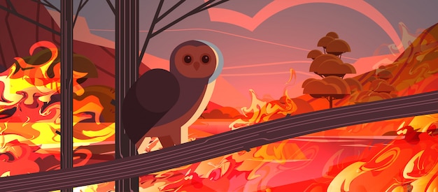 Owl bird escaping from fires in australia animals dying in wildfire bushfire natural disaster concept intense orange flames horizontal