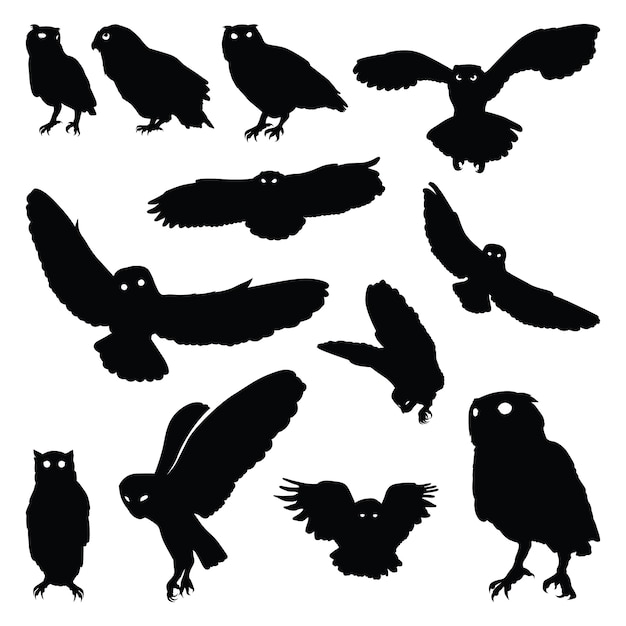 Owl Bird Flying Stand Motion Silhouette-reeks