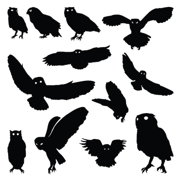 Owl bird flying stand motion silhouette-reeks