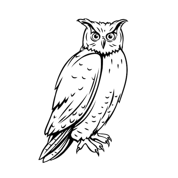 Owl bird. Outline icon for zoo  Engraving ink illustration