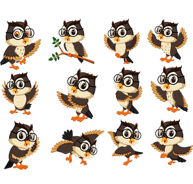 Vector owl cartoon