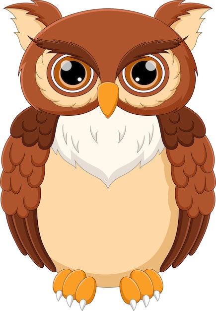 Vector owl cartoon