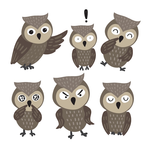 Design collezione di personaggi owl