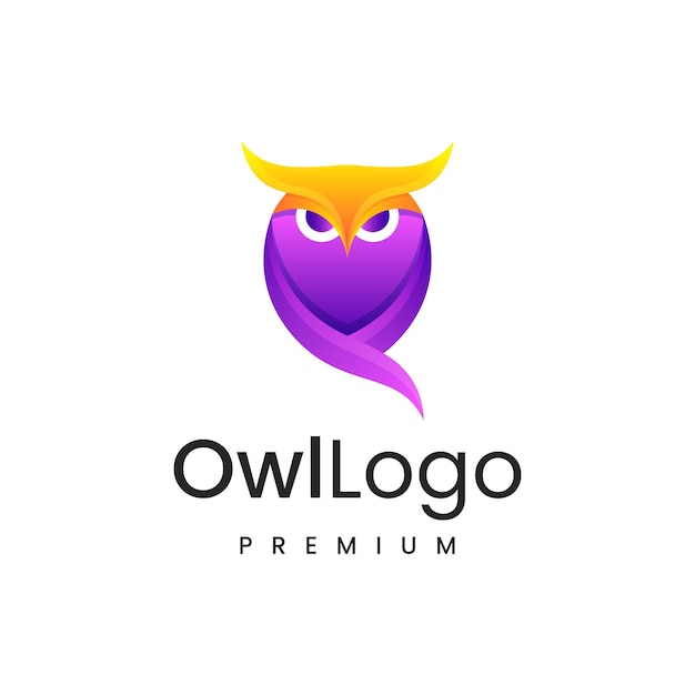 Owl colorful Design concept Illustration logo vector