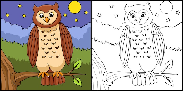 Owl coloring page colored illustration