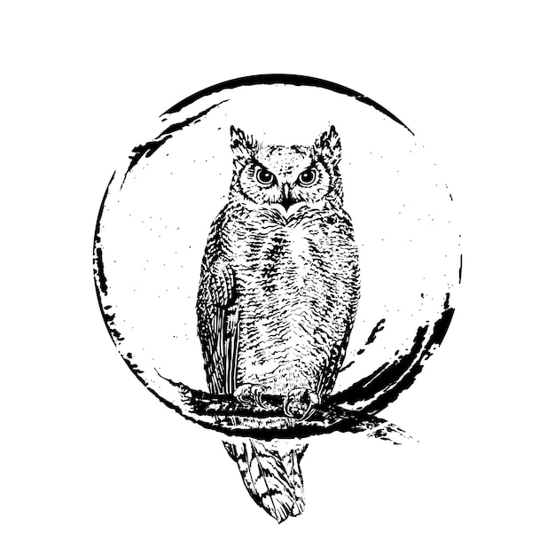 Owl drawn in black ink on a circle background