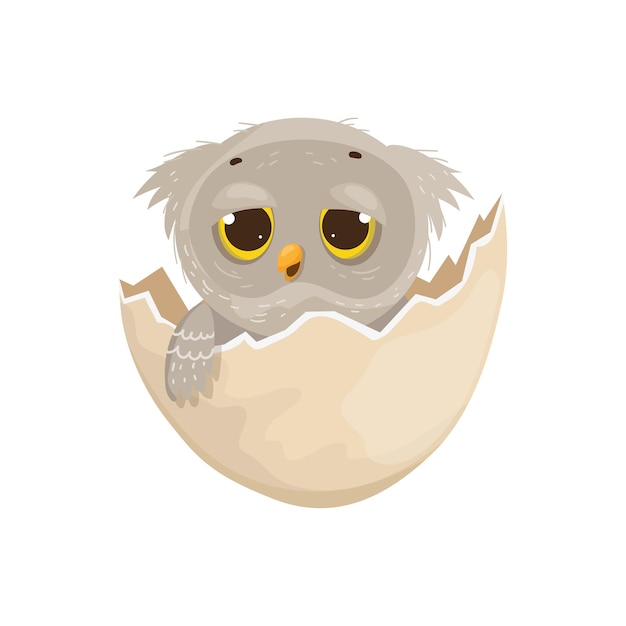 Vector owl in egg