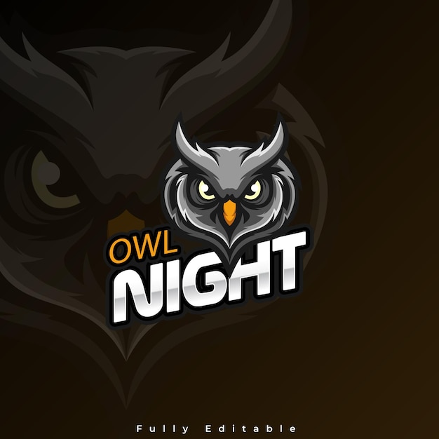 Owl Fighter warrior character with ghost eye illustration