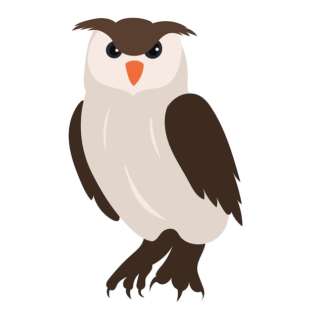 Vector owl flat design isolated vector