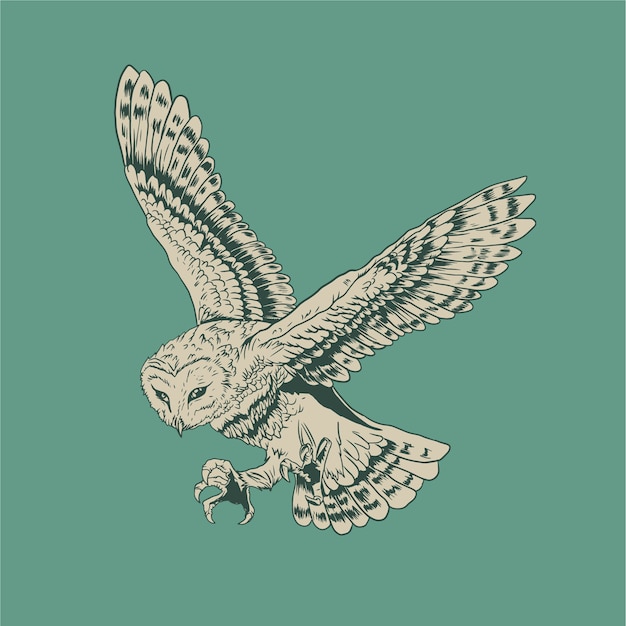 Owl hand drawn vector