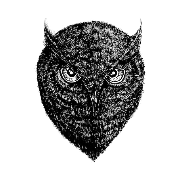 owl head vector illustration drawing style of owl birds