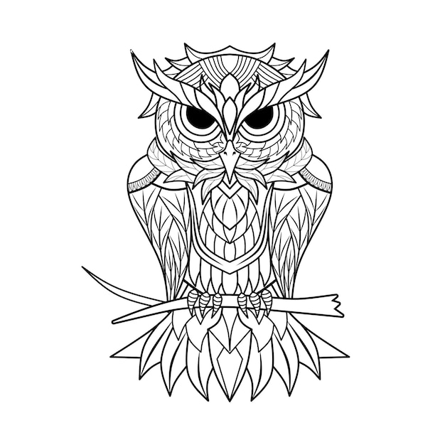 Owl illustration outline