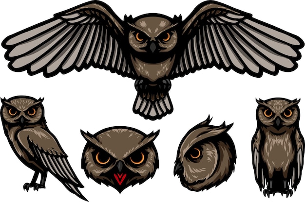 Vector owl ingesteld