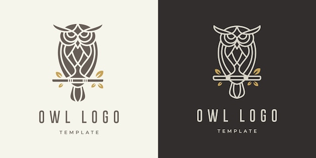 Vector owl logo design template