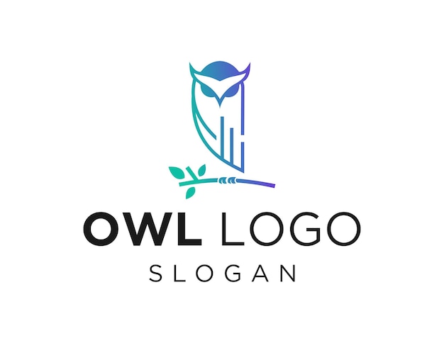 Дизайн логотипа Owl