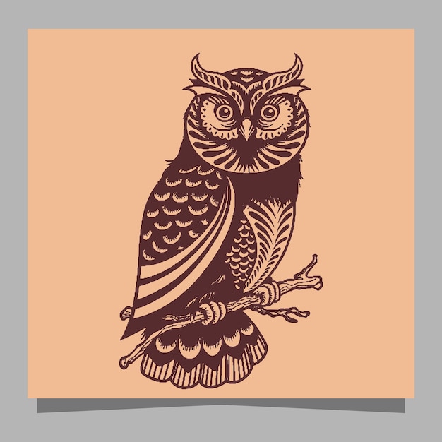 owl logo illustration hand drawn on paper